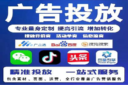 百度竞价与搜索引擎优化（SEO）结合的经典案例
